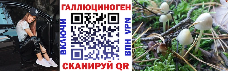 Псилоцибиновые грибы ЛСД  что такое наркотик  МЕГА как зайти  Алзамай 